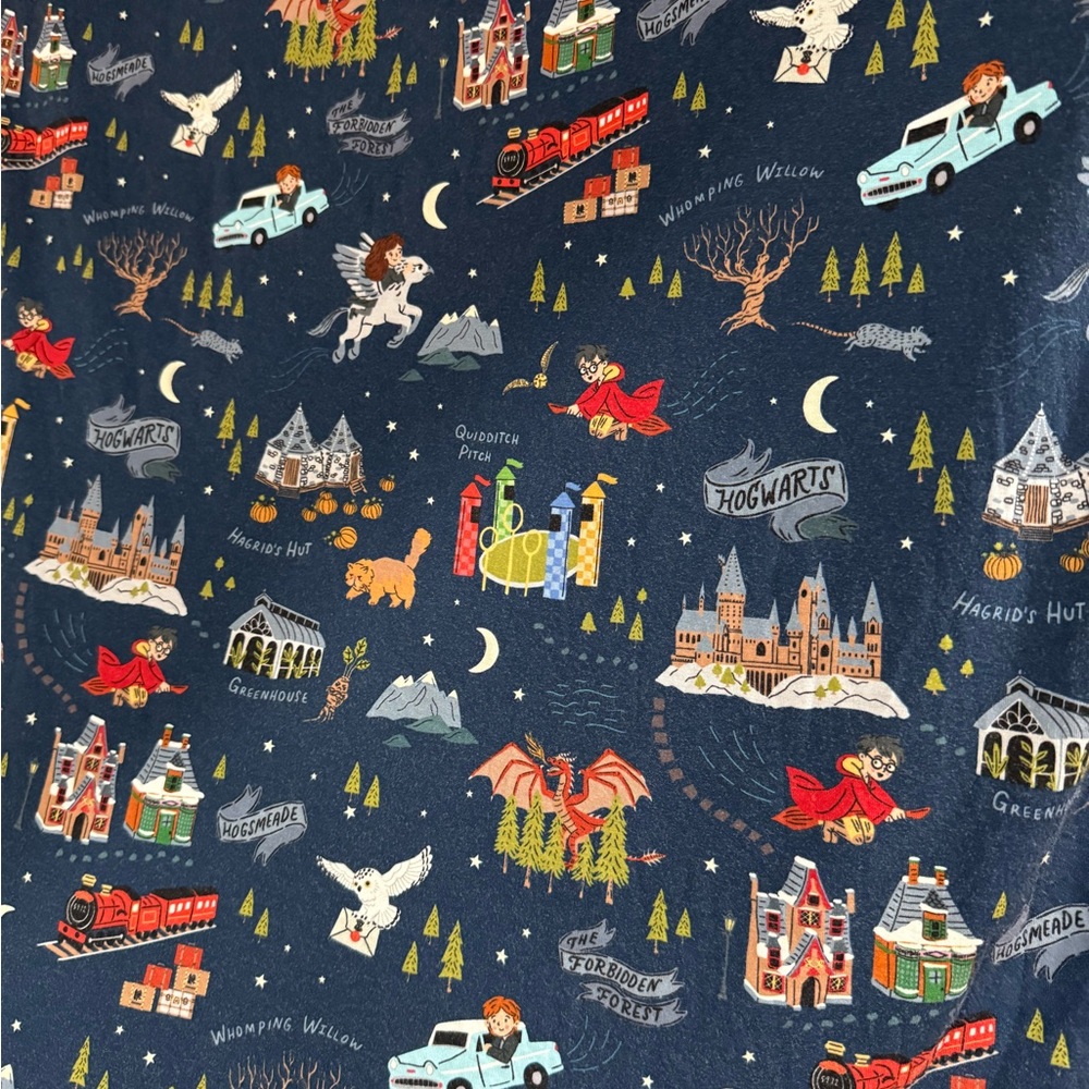 Little sleepies Harry Potter cloud blanket !!